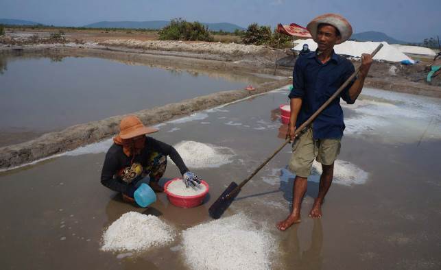 មាសសដែលបានមកពីសមុទ្រ