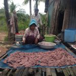 Fish- processer in action , Chroy Svay commune